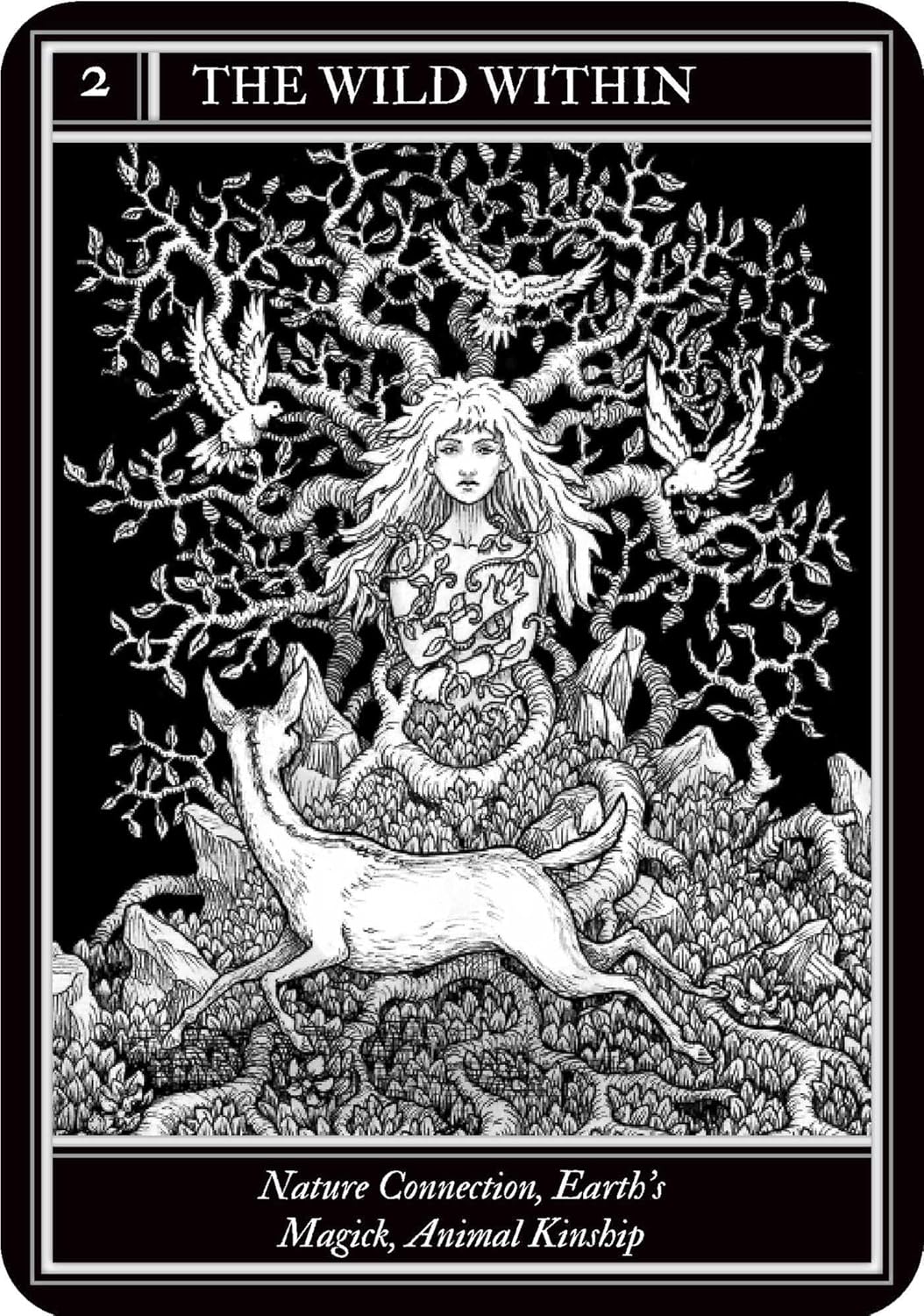 Coven Oracle deck by Fiona Horne with illustrated witchcraft themed oracle cards and guidebook.