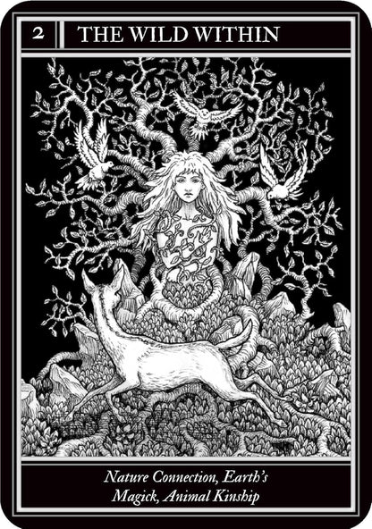 Coven Oracle deck by Fiona Horne with illustrated witchcraft themed oracle cards and guidebook.