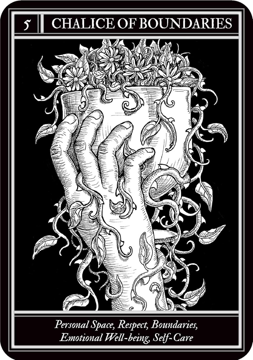 Coven Oracle deck by Fiona Horne with illustrated witchcraft themed oracle cards and guidebook.