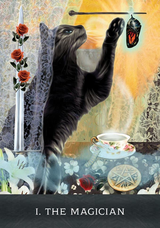 Grimalkins Curious Cat Tarot