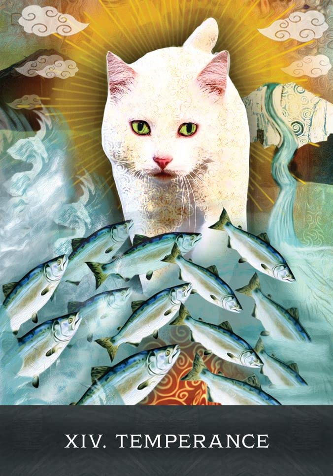 Grimalkins Curious Cat Tarot