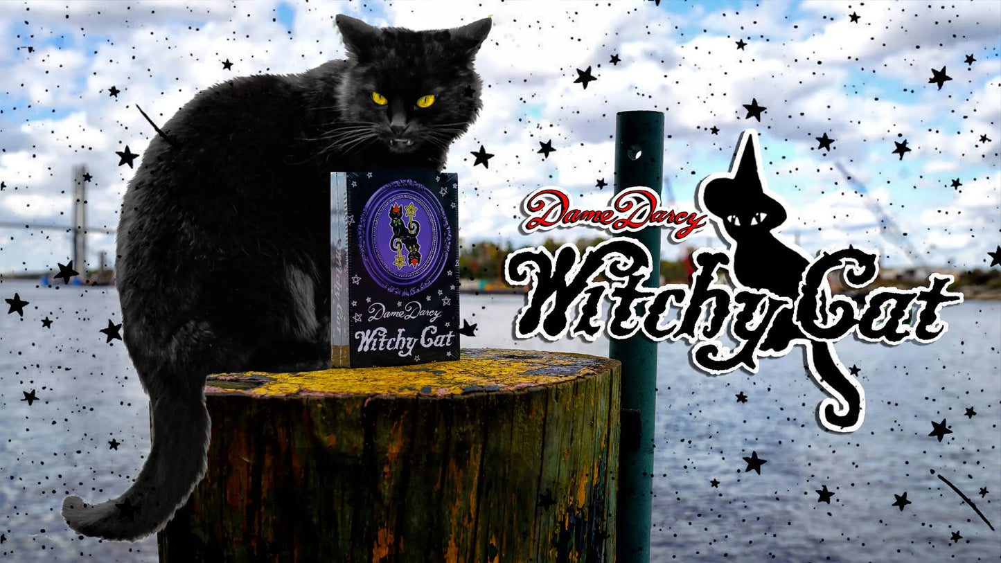 Black cat sitting on a wooden stump with a 'Witchy Cat' product and brand logo in the background.