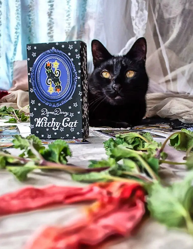 Black cat sitting next to a book titled 'Witchy Cat' on a table with greenery and a red cloth.