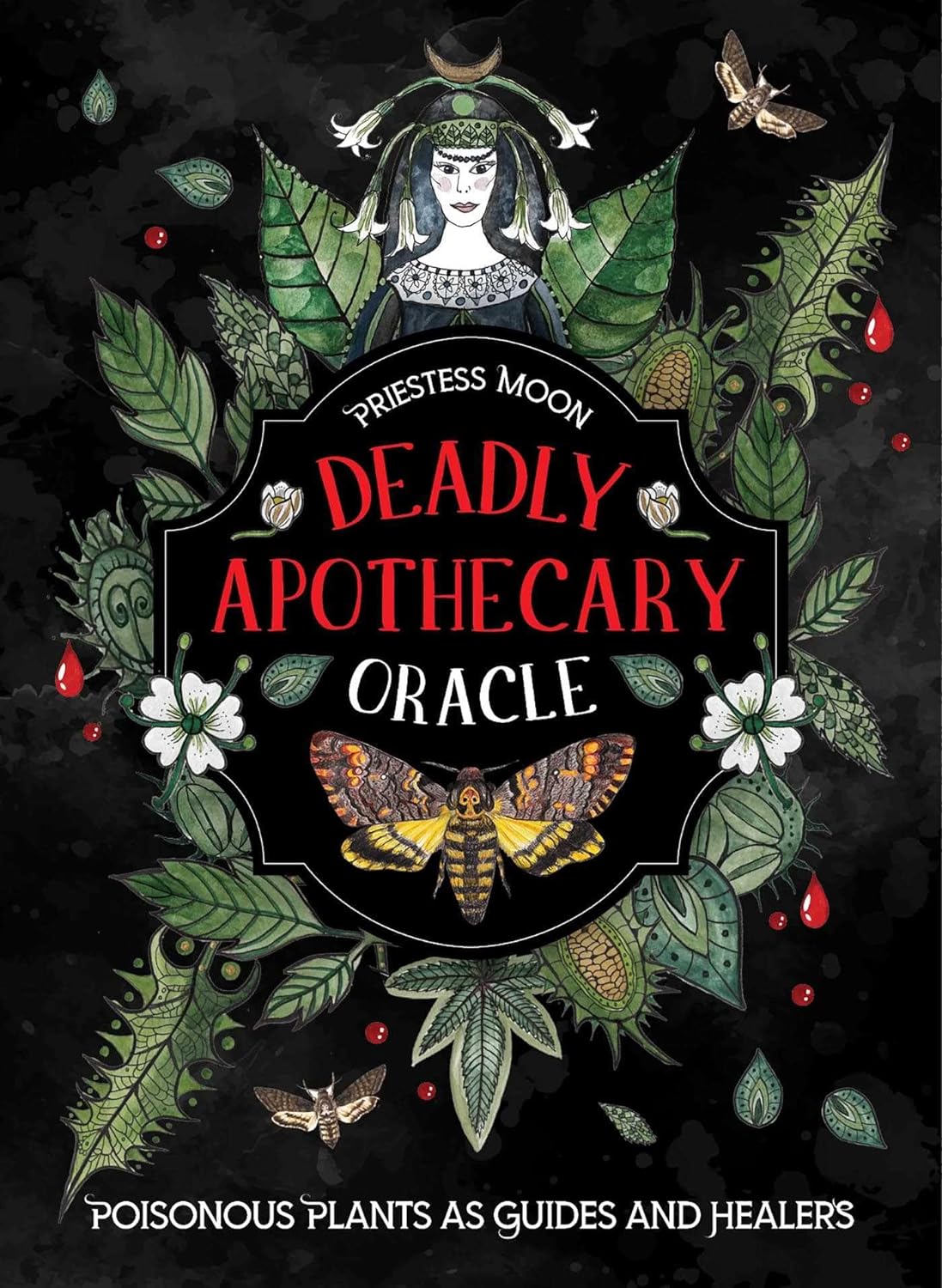 Deadly Apothecary Oracle: Poisonous plants as guides and healers (Rockpool Oracles)