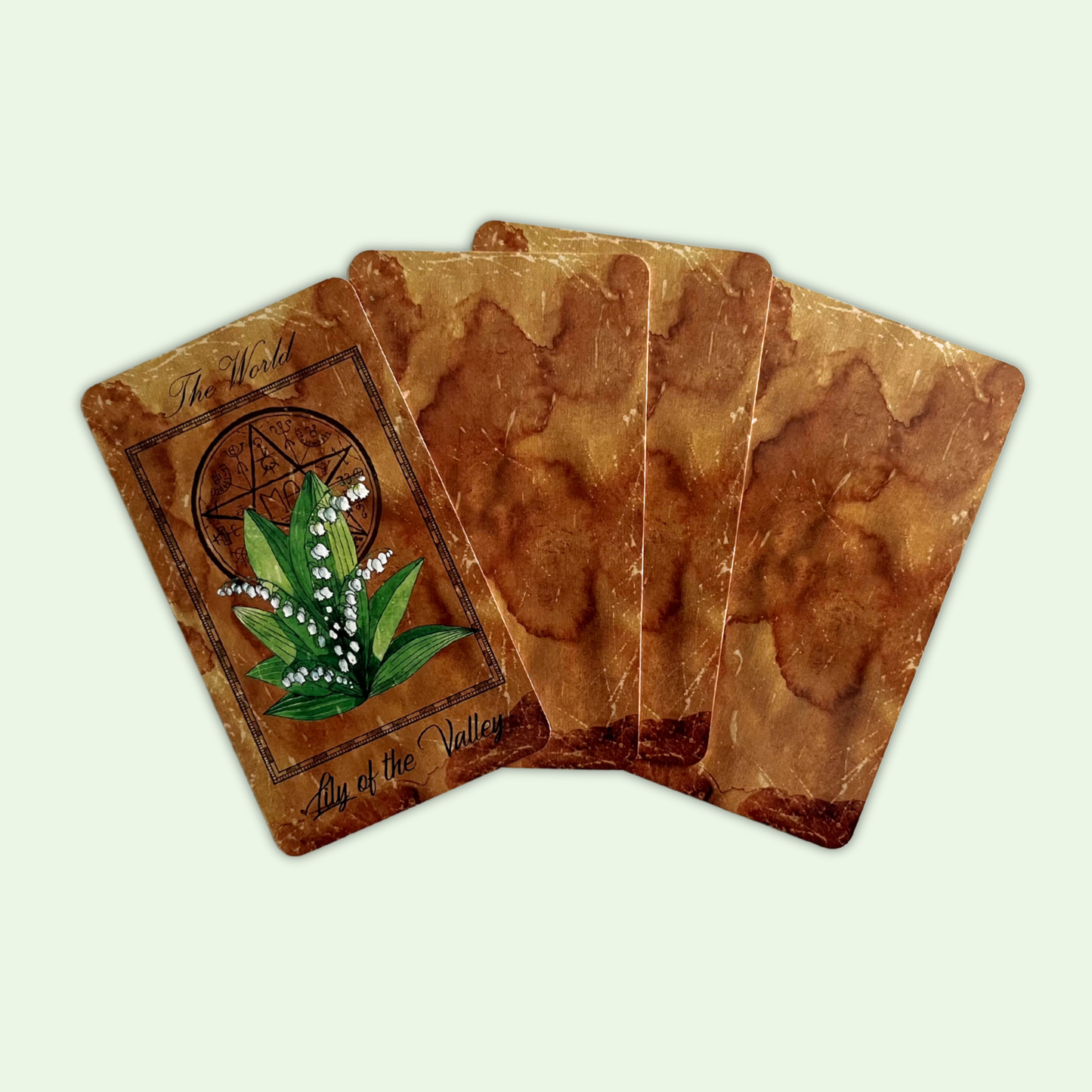 Four brown playing cards with nature-themed artwork on a light green background