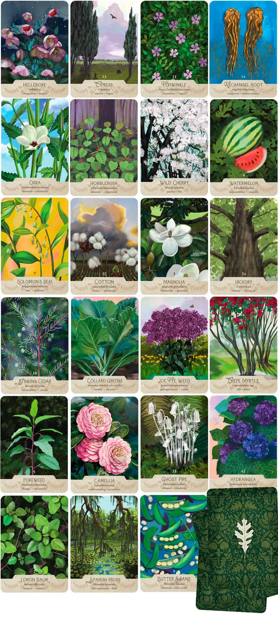 Collection of botanical illustrations on cards with a green card holder.