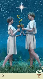 VICE-VERSA TAROT - Oneness emporium