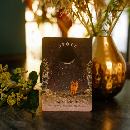 Card with a fox illustration and 'New Moon' text, placed on a surface with decorative plants and a vase.