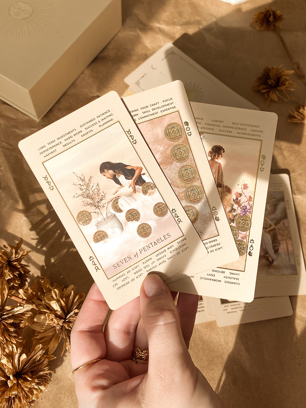 Lucid Dreams Beginner's Tarot Beige Edition IV by ST. SOLEIL with gold foil cards, matte gold edges and guidebook
