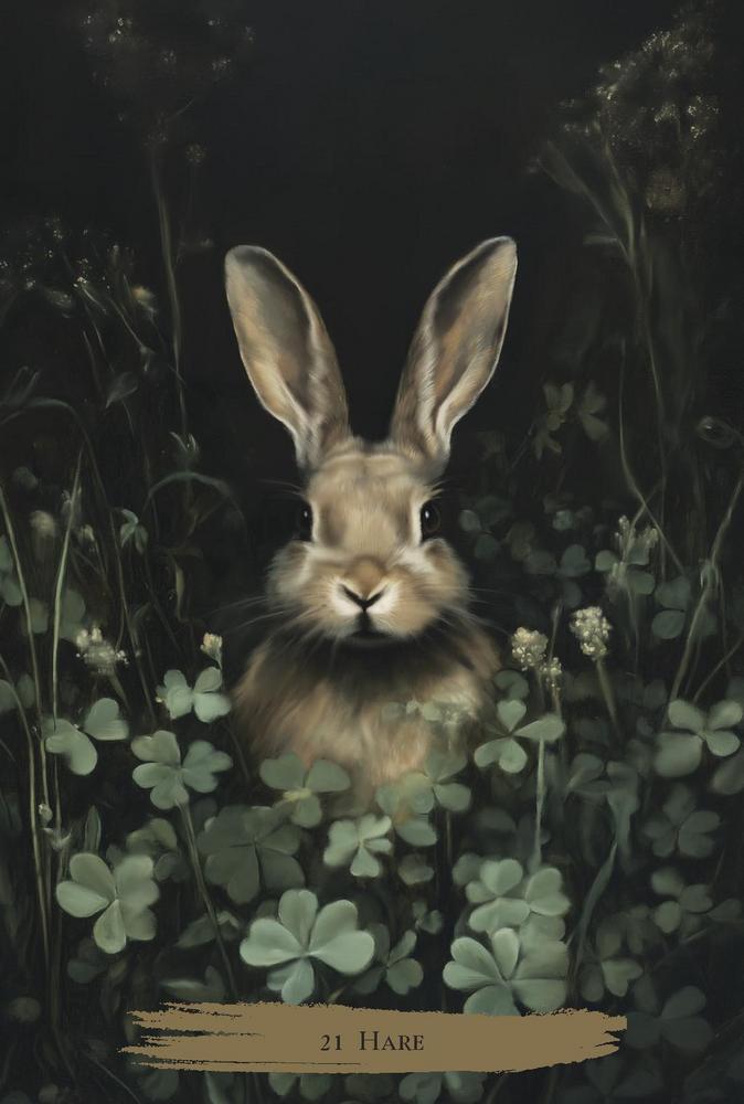 Haunted Cottage Oracle by Sirian Shadow – a 45-card gothic oracle deck with guidebook for shadow work and introspection.