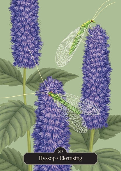 Kate Forsyths Hedgewitch Oracle . A  plant based deck. Published by Rockpool. Available at Oneness Emporium