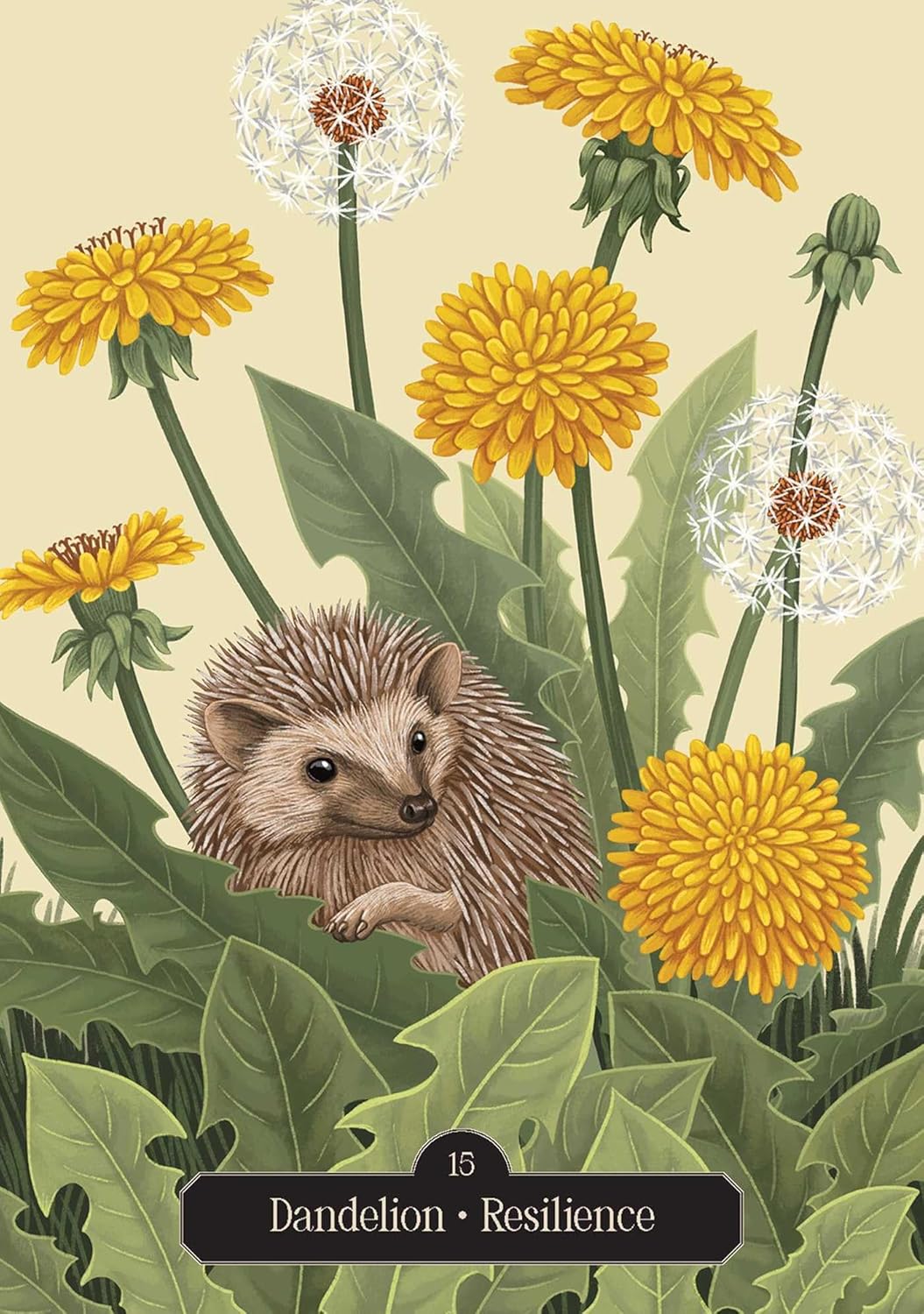 Kate Forsyths Hedgewitch Oracle . A  plant based deck. Published by Rockpool. Available at Oneness Emporium
