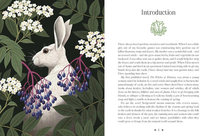 Kate Forsyths Hedgewitch Oracle . A  plant based deck. Published by Rockpool. Available at Oneness Emporium