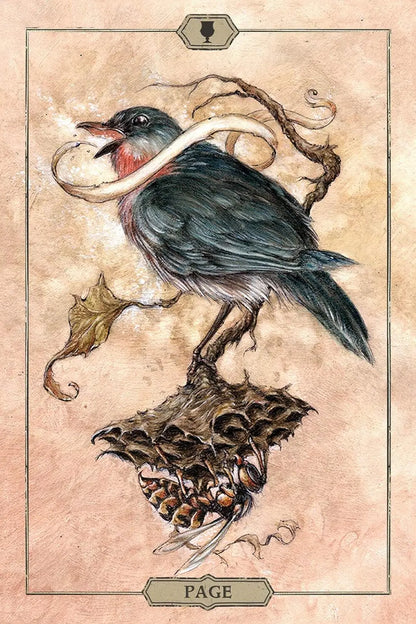 Hush Tarot - Oneness emporium