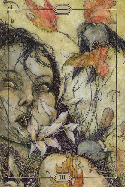 Hush Tarot - Oneness emporium