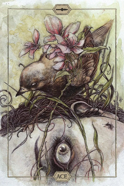 Hush Tarot - Oneness emporium
