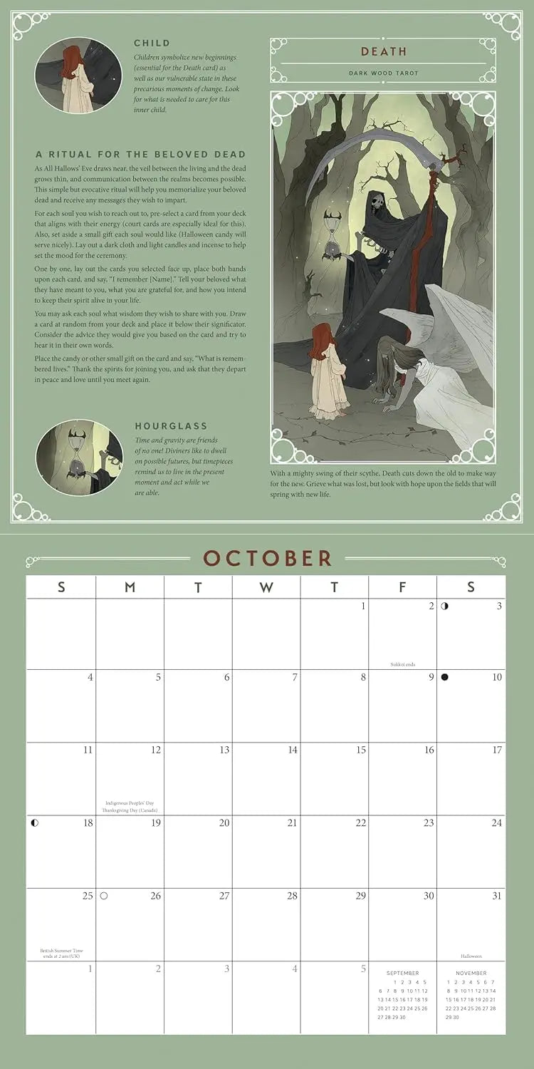 Llewellyn's 2026 Tarot Calendar: Insights, Spreads, and Tips (Llewellyn's 2026 Calendars, Almanacs & Datebooks) - Oneness emporium