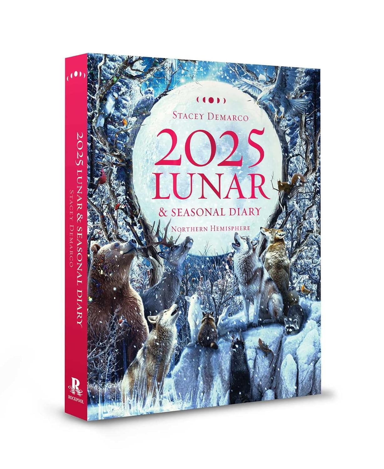 2025 Lunar and Seasonal Diary - Northern Hemisphere: Seasonal planner for 2025