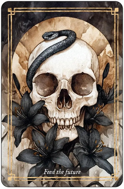 Memento Mori 36 Cards to Embrace Life featuring skeletal imagery, flowers, symbolic artwork, gold-edged cards, and life-affirming messages.