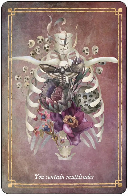 Memento Mori 36 Cards to Embrace Life featuring skeletal imagery, flowers, symbolic artwork, gold-edged cards, and life-affirming messages.
