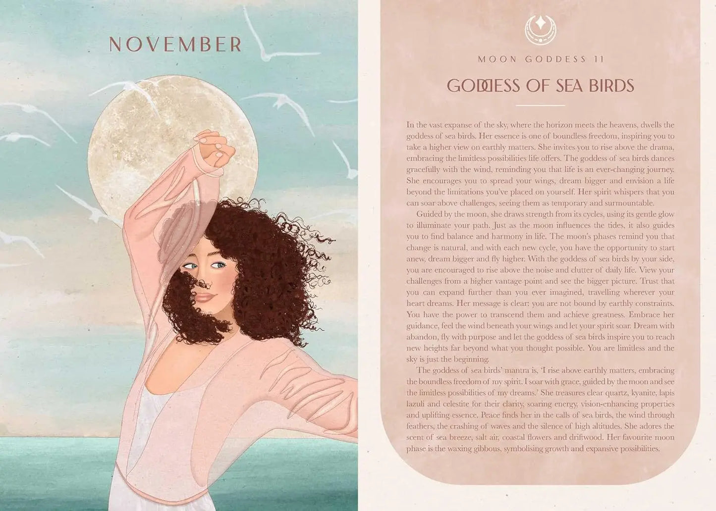 2026 Moon Goddess Planner Calendar: Northern Hemisphere (Planners) - Oneness emporium