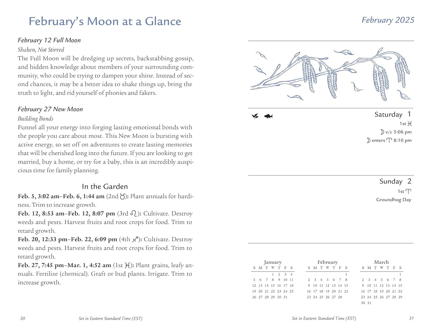 Llewellyn's 2025 Moon Sign Datebook: Weekly Planning by the Cycles of the Moon