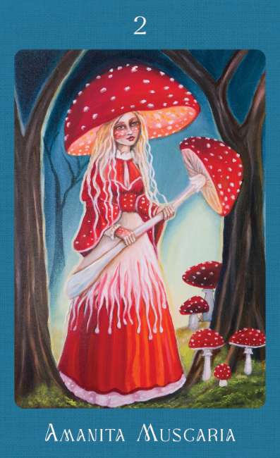 Card featuring a woman in a red dress with a large red mushroom hat, surrounded by mushrooms, on a blue border with 'Amanita Muscaria' text.
