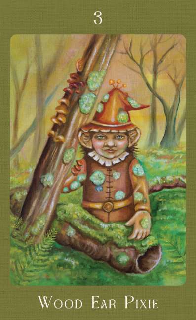 Wood Ear Pixie card with a fairy character in a forest setting