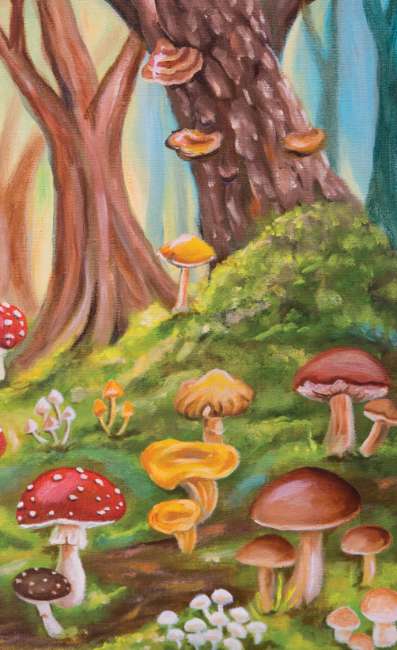 Colorful illustration of mushrooms in a forest setting