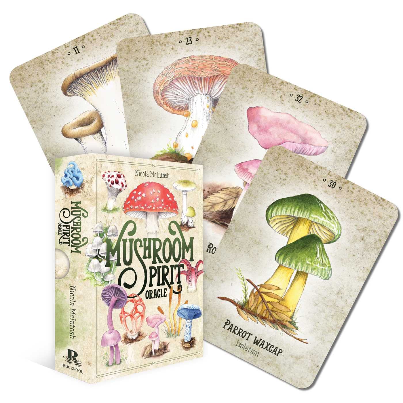 Mushroom Spirit Oracle: (36 Gilded Cards and 112-Page Full-Color Guidebook)