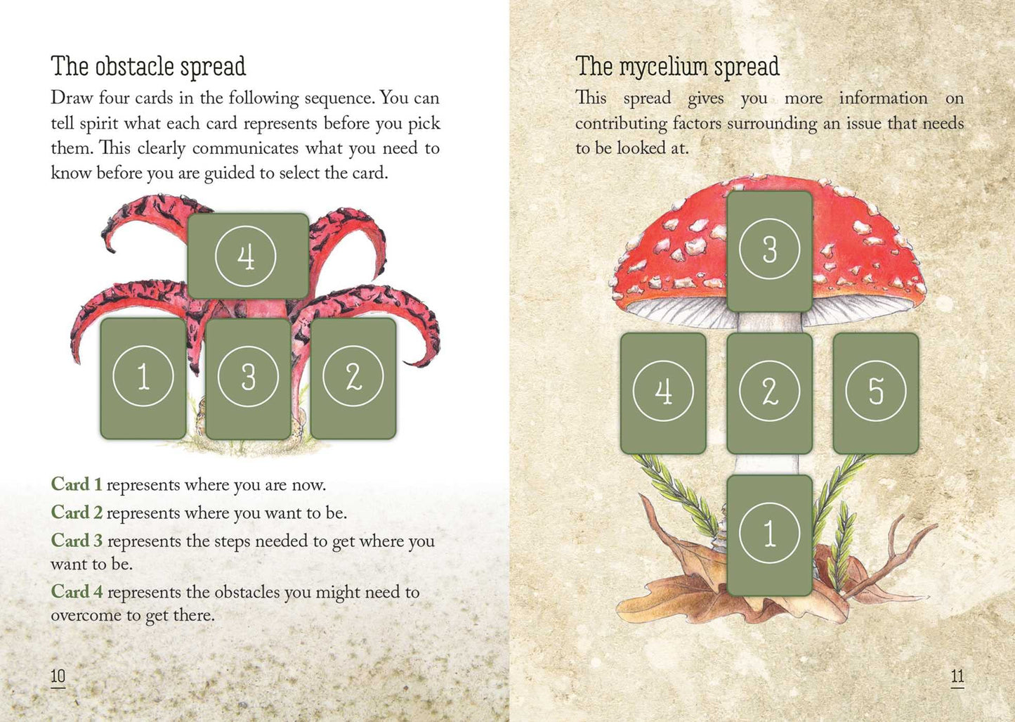 Mushroom Spirit Oracle: (36 Gilded Cards and 112-Page Full-Color Guidebook)