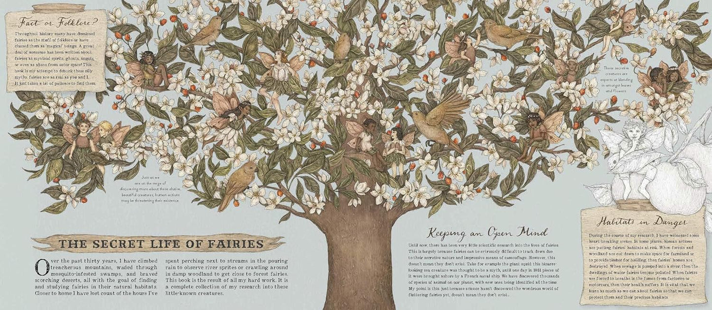 A Natural History of Fairies (Folklore Field Guides)