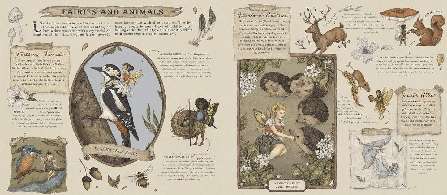 A Natural History of Fairies (Folklore Field Guides)