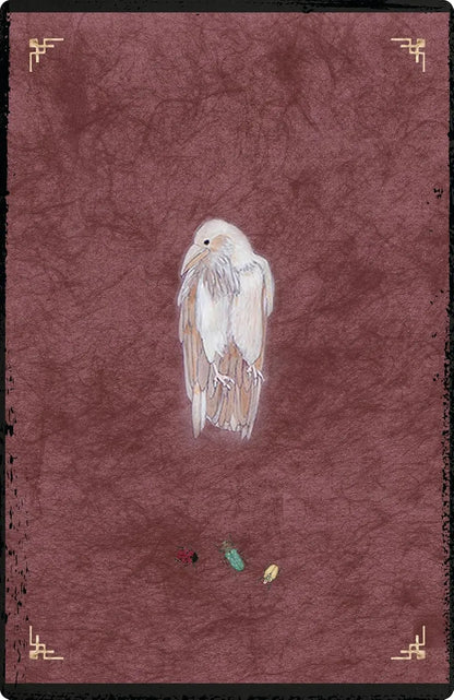 The Oracle of Rewilding: Pathways to Renewing Our Kinship with All Things (44 Full-Color Cards and 176-Page Guidebook) - Oneness emporium