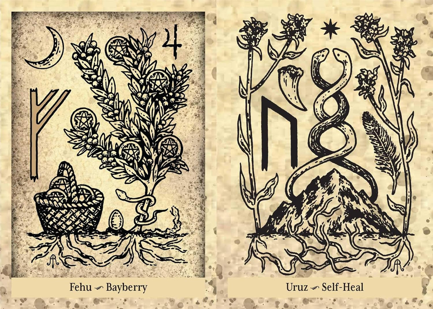 Two illustrations of herbs and symbols on a textured background