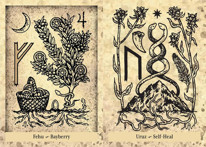 Two illustrations of herbs and symbols on a textured background