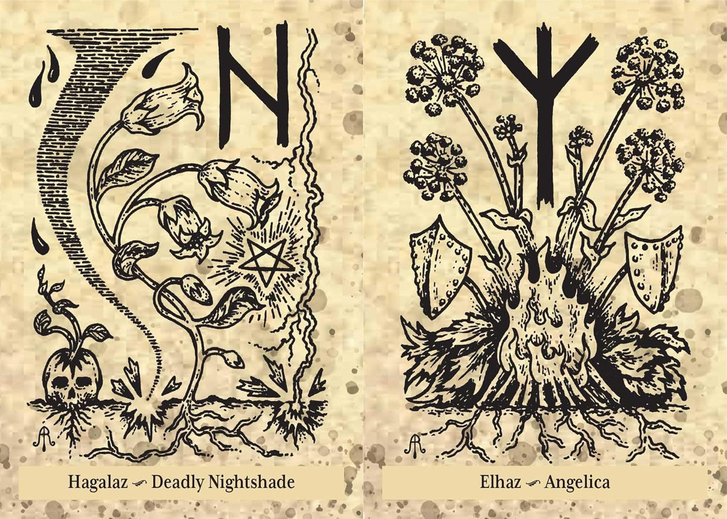 Two black and white illustrations of plants with corresponding names and symbols on a textured beige background.