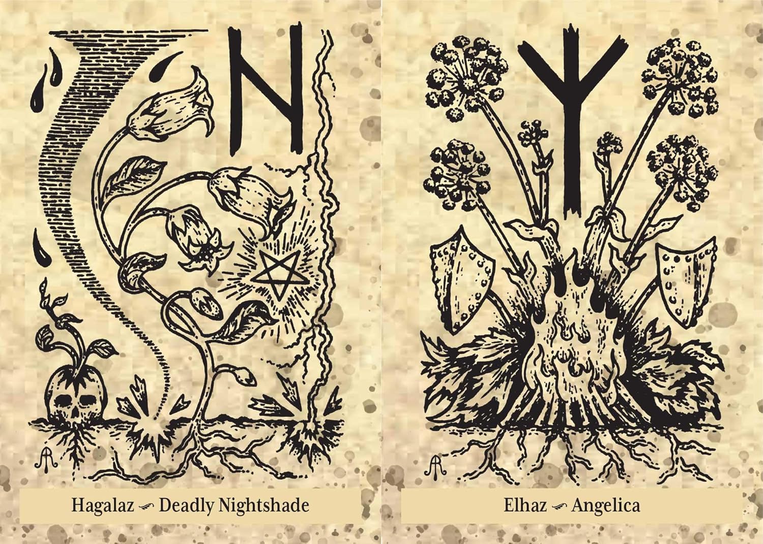Two black and white illustrations of plants with corresponding names and symbols on a textured beige background.