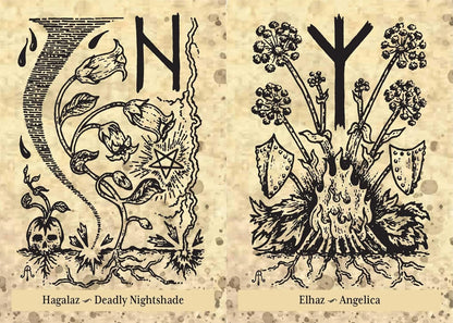 Two black and white illustrations of plants with corresponding names and symbols on a textured beige background.