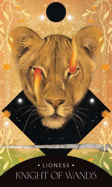 Card featuring a lioness with a mystical design and text 'Knight of Wands' on a decorative background.