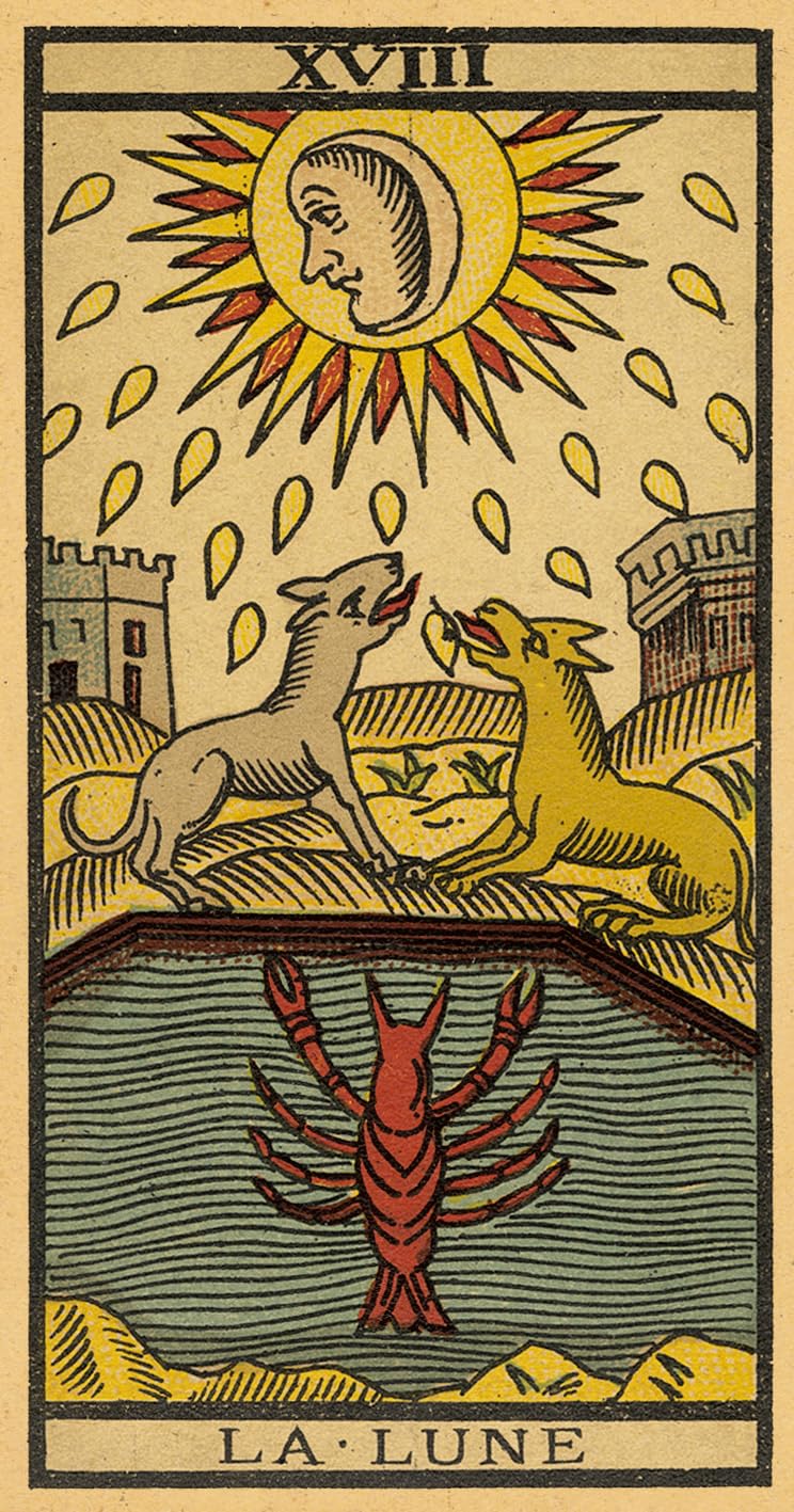 Tarot De Marseille: Paris Ca. 1890 - Limited Edition