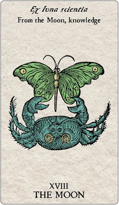 Tarot Emblemata: Decoding Magical Symbolism (83 Full-Color Cards and 192-Page Guidebook) - Oneness emporium