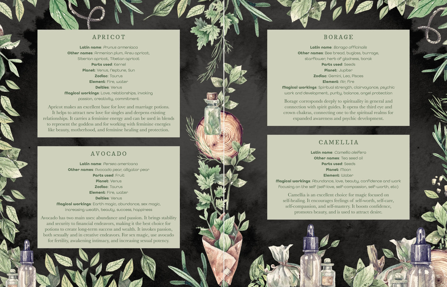 The Witch’s Apothecary book on herbal magic and potion making.