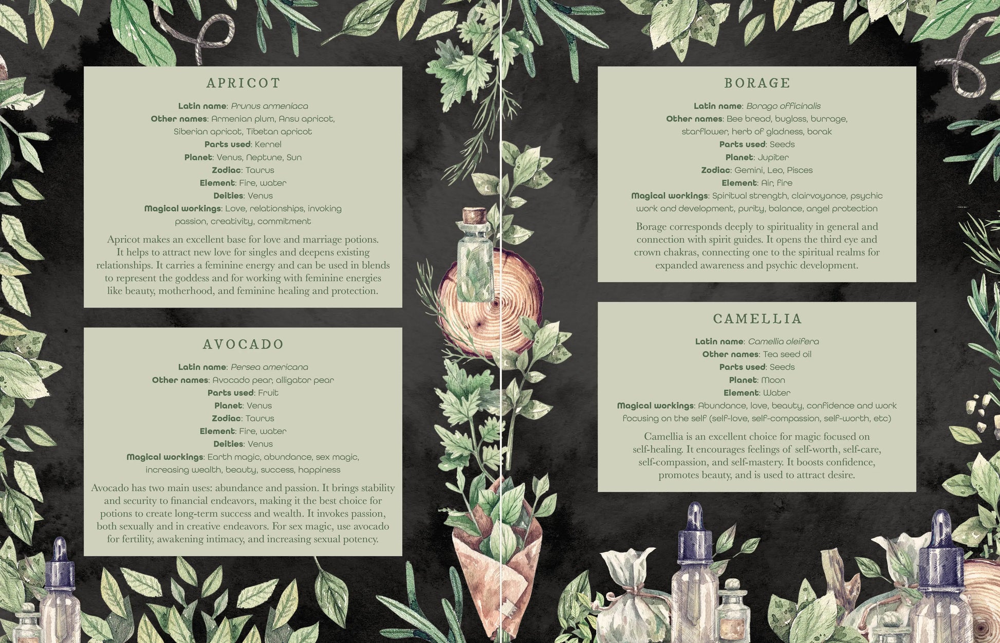 The Witch’s Apothecary book on herbal magic and potion making.