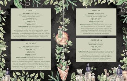 The Witch’s Apothecary book on herbal magic and potion making.