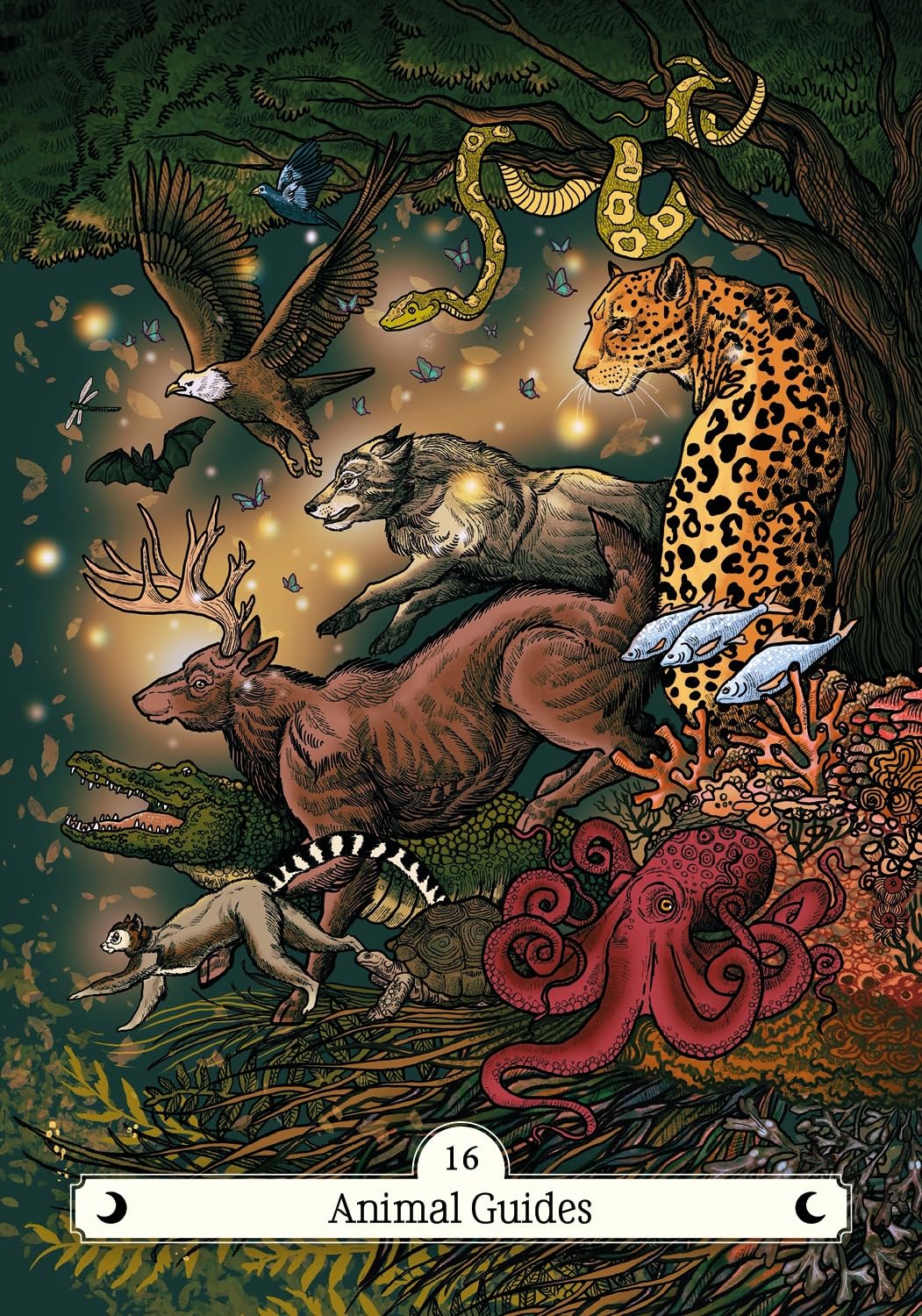 Card featuring various animals in a fantasy setting with a mystical atmosphere.
