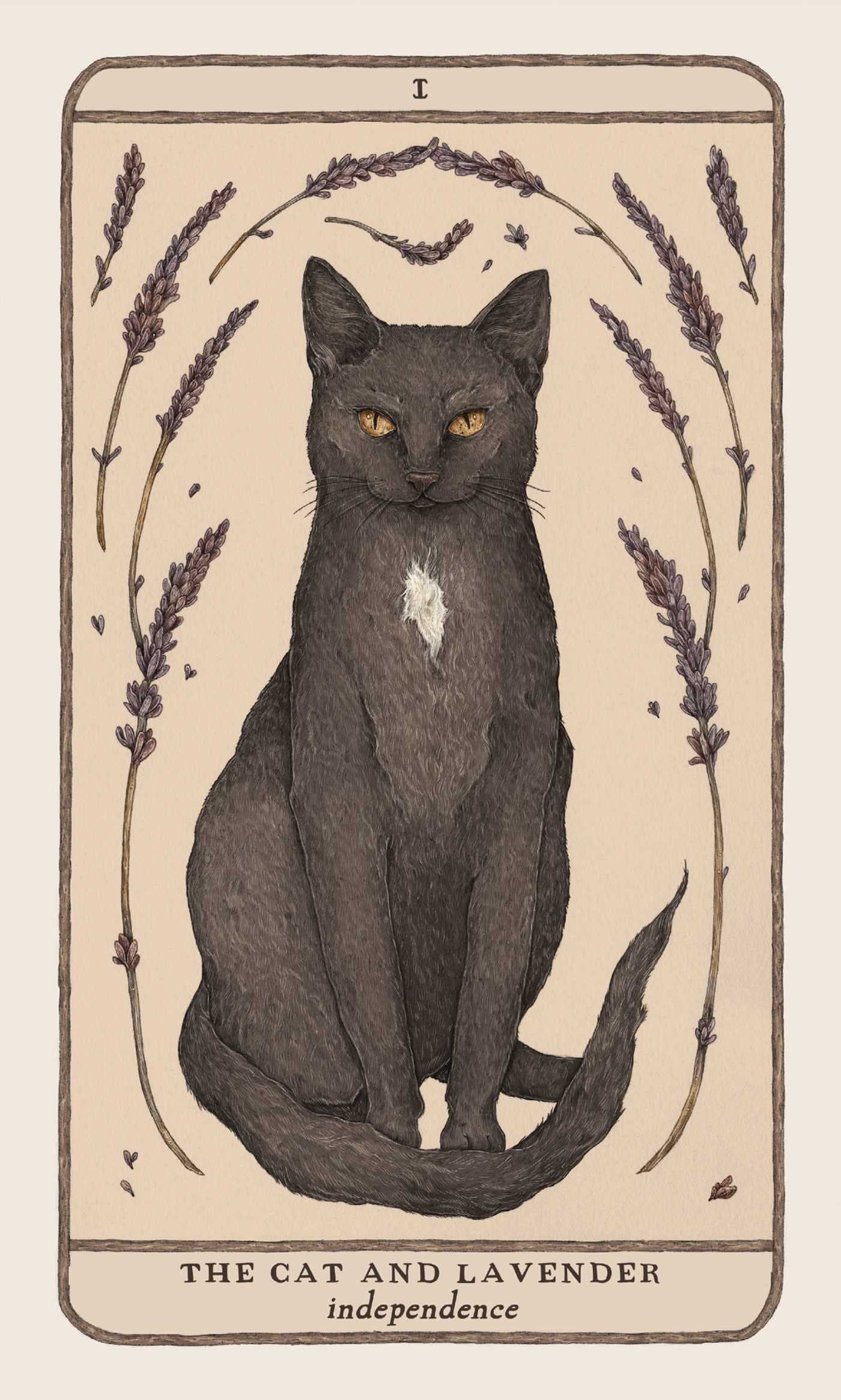 The card depicts a black cat surrounded by sprigs of lavender. The card represents independence 