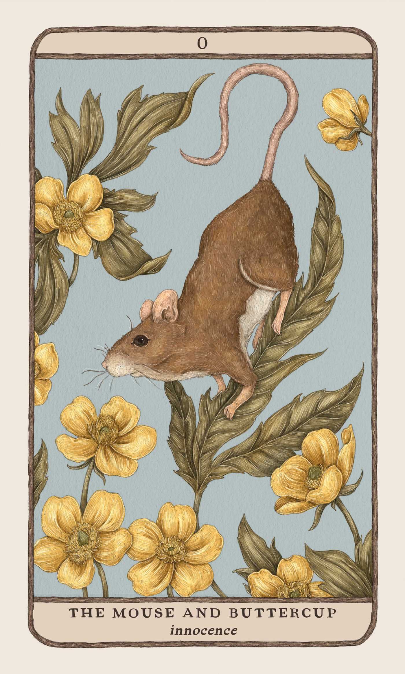 The mouse and the buttercup represnts the start of your journey. The mouse if balanced on leaves ready to jump into the field of buttercups. This card represents innocence 