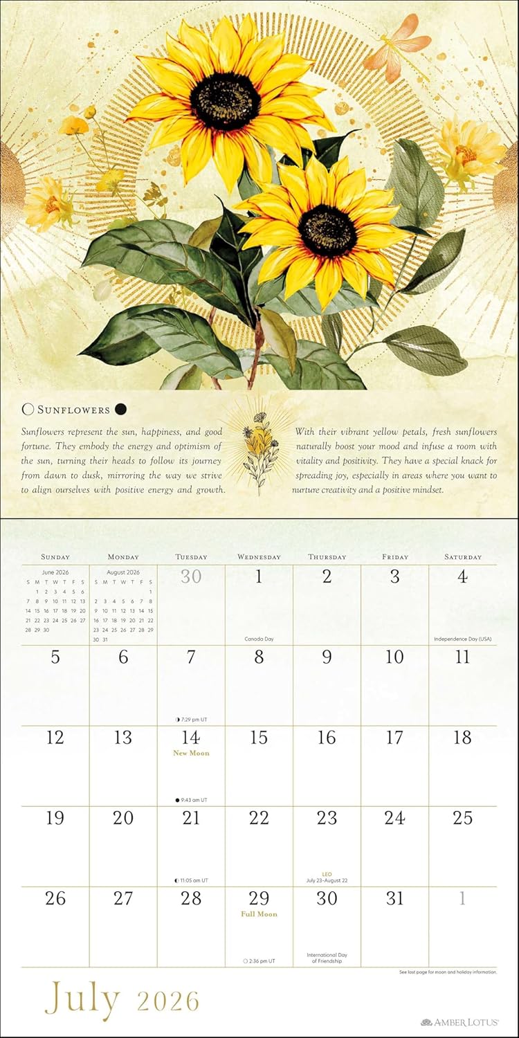 Year of the Witch 2026 Wall Calendar: Seasonal Intuitive Magick