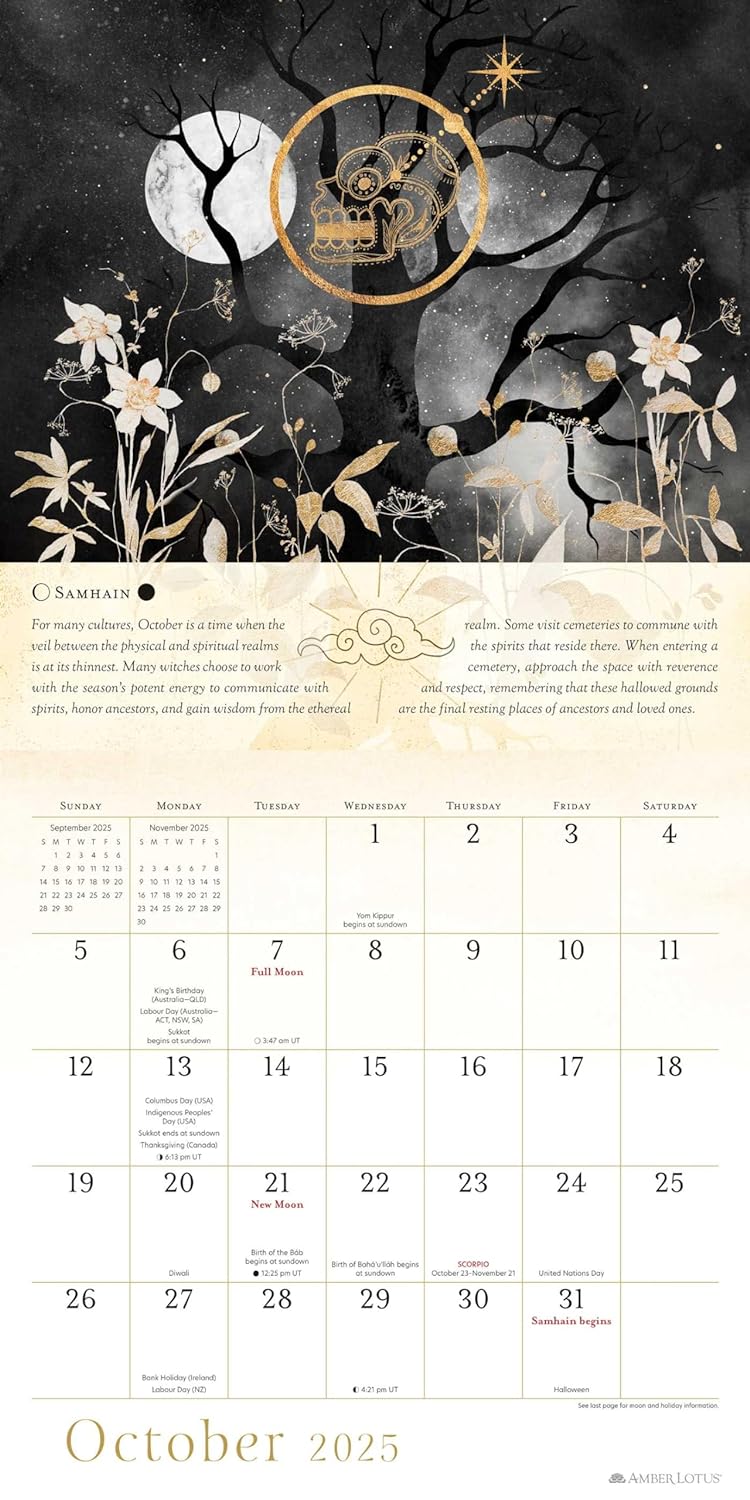 Year of the Witch 2025 Wall Calendar: Seasonal Intuitive Magick